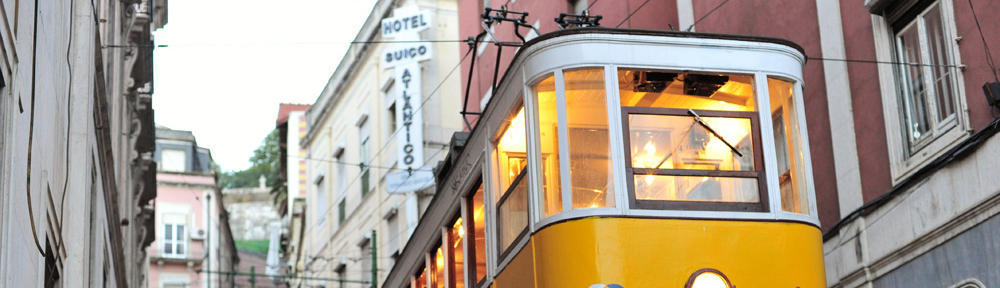 スタッフブログ　